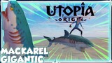 Gray Mackerel Shark Mount | Clownfish Location | How to Tame | Utopia:Origin