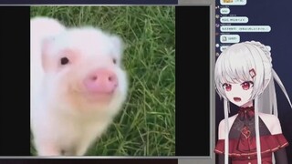 日本铸币辣妹看可爱小猪仔
