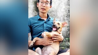 Chẳng muốn xa con đâu nhưng mong con gặp đc ai đó yêu thương chăm sóc con tốt hơn. cunyeucuadua chó chó_cưng chócon chómèo chócute