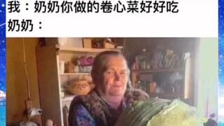 奶奶的爱大概就是：我说没吃过鹅肉，今天这只鹅必死