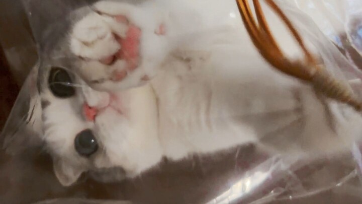 To be honest, I really can’t eat this little puff pastry.