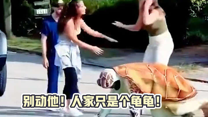 Thật là người tốt bụng, còn giúp rùa biển qua đường nữa!