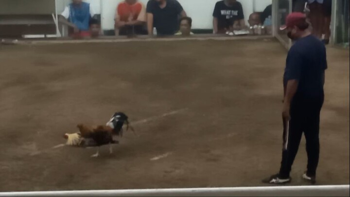 fastest kill ang labanan pero si ref. pa relax relax lang.. 2x winner lemon x sweater cross