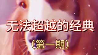 无法超越的经典【1期】