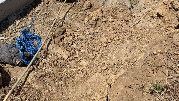 🍃ꔛ˚𝘁𝗿𝘆 𝘁𝗼 𝗽𝗹𝗲𝗮𝘀𝗲生活再遭 也不妨碍你越来越好冲鸭,