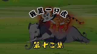 第十三集：猛虎王挑战象群和水牛群