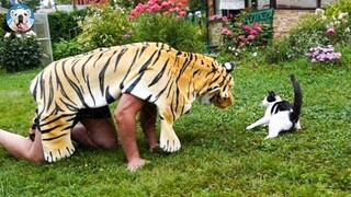 TRY NOT TO LAUGH - Funniest Pet Videos Of The Week #2 | Pets Town