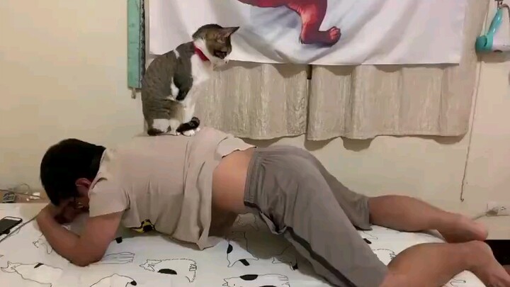 Kamu nggak pernah tahu kucing di rumah bakal muncul di mana!