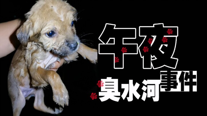 【เหล่าเฟิงหยาง】โชคดีหรือไม่ ล้วนอยู่ในชั่วพริบตาเดียว
