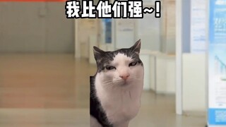 Ketika mahasiswa pergi mencari pekerjaan, saya merasa tertekan