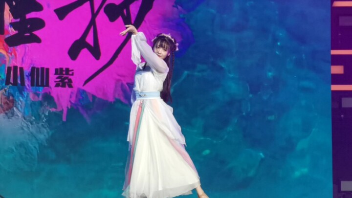 【BW Live】Koi Copy-Purple Color