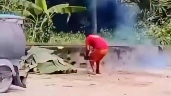funny videos