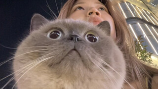 การนินทาไม่ได้จำกัดอยู่แค่ชนิดใดชนิดหนึ่ง