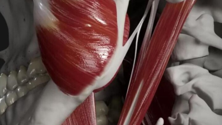 Microscopic World: Every Action is a Miracle