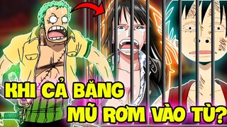 KHI CẢ BỌN BỊ BẮT?! | NẾU CẢ BĂNG MŨ RƠM BỊ BẮT VÀO TÙ TRONG ONE PIECE?!