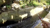 REJEKI NOMPLOK..!! Strike Bertubi Tubi Di Selokan Kecil || Mancing Ikan Jebolan Kolam