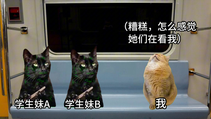 【Meme mèo】Trải nghiệm kỳ lạ khi lén nghe hai cô nữ sinh trò chuyện trên tàu điện ngầm lúc nửa đêm