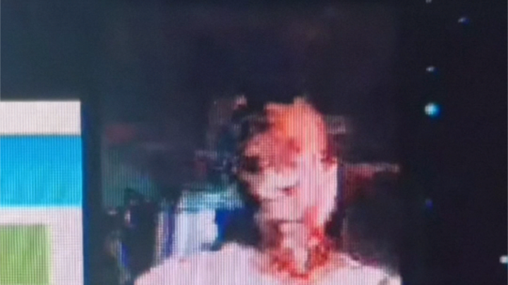 学生：老师网卡了吗？老师：没有哦