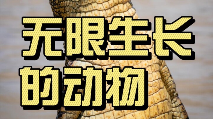 Animals That Can Grow Infinitely