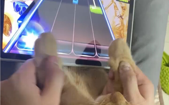 Nhà ai mà mèo còn chưa biết chơi Beat Saber hả!