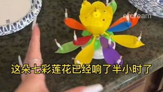 老外：来自东方的神秘生日莲花为什么一直在响...