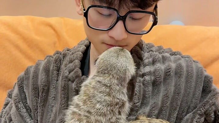 What's the sneaky little group up to? #CutePetDebutPlan #Raccoon #Meerkat