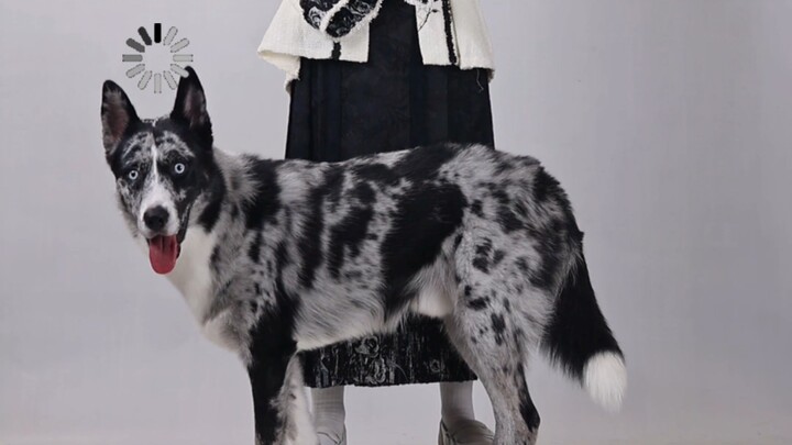 วังไม่ฉลาด