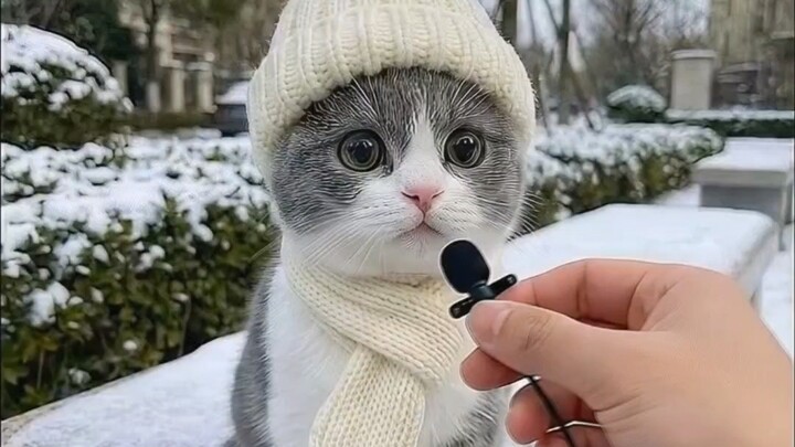 A quietly sensible child— I’m a rather clumsy little cat who doesn’t understand grand truths, but I 