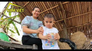 Siêu Quậy Sơn Hà - Nam Việt 52