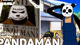 Nhân vật bí ẩn Pandaman_! _ Những Chi Tiết Thú Vị Mà Bạn Đã Bỏ Qua Trong One Piece p9