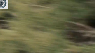 phim dị nhân hay nhất về Người Sói - review phim Nguồn Gốc Người Sói Wolverine 5 #reviewphim