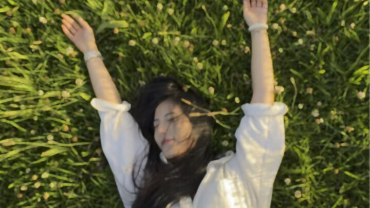 Con người nên ở nơi không có trần nhà | New Zealand