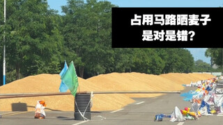 Is it right or wrong for villagers to occupy the road to dry wheat?