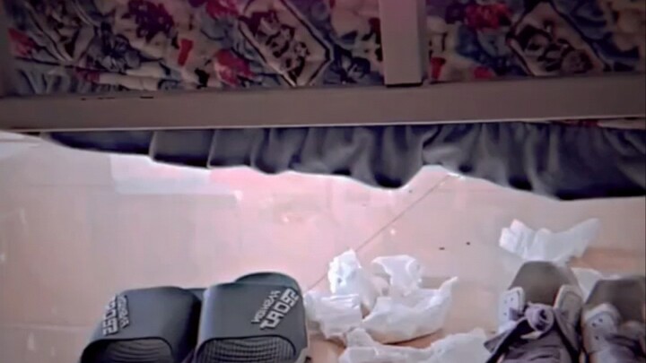 خضرة زاهية وحيوية مفعمة بالنشاط