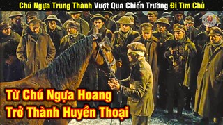 Review Phim Chú Ngựa Trung Thành Vượt Ngàn Dặm Đi Tìm Chủ | Tóm Tắt Phim Chiến Mã
