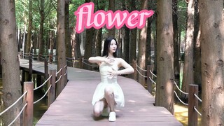 【ซูจิน】ดอกไม้🌸/จิน จีซู จีซู