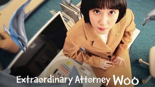 Alur Cerita Drama Extraordinary Attorney Woo