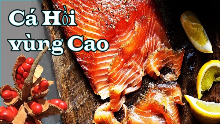 Cá Hồi muối gia vị Tây Bắc / how to make Salmon Gravlax with Vietnamese mountan spices