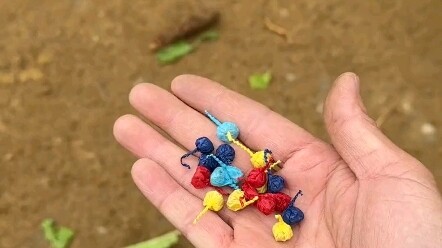 Giúp mẹ cho gà ăn