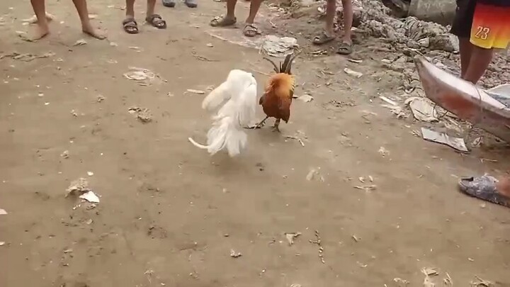 nakadalawa sa isang araw