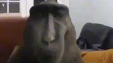 BAT ANG POGI KO?