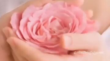 Kim  Seon Ho video