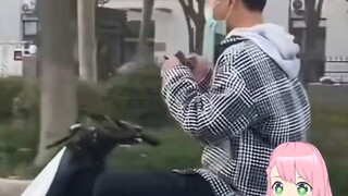 日本妖精看《这才叫电竞精神！！》