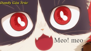 Meo meo - cuối cùng thì chị em cũng đoàn tụ - meo meo -#animeo