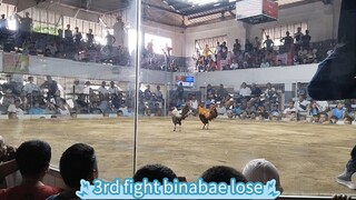 WWLWLWW June1 3rd fight lose