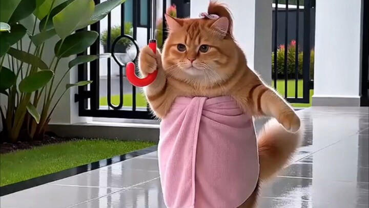 LIAT SAJA NANTI🐱🤪
