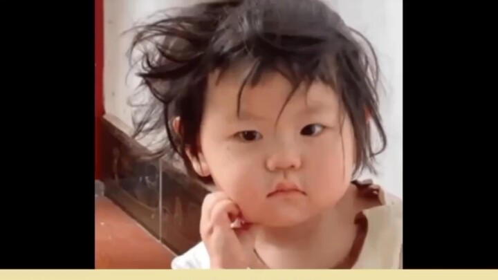 Có thể phân biệt được từng chú chó, anh ấy quả thực rất yêu chó