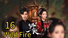 16  野火Yěhuǒ [Wild Fire].... ❤️🔥