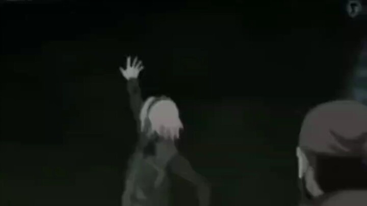 sakura
