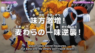 One Piece Episode 1039 Preview